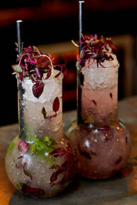 Cocktail recipes for your wedding day