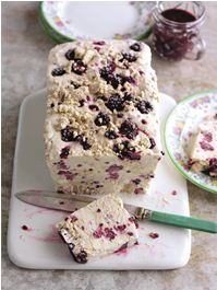 halva blackberry ice cream with blackberry sauce