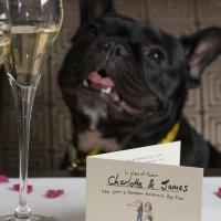 Dogs Trust Wedding Favour