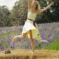 Shrropshire Petals - dancing with confetti