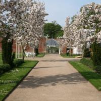 Spring at Combermere Abbey