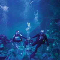 Couple getting married underwater