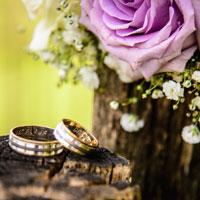 Perfect wedding rings on tree log