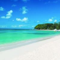 Goddess Acumen Mullins Beach, Barbados