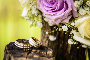 Perfect wedding rings on log