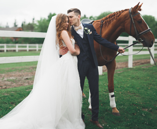 Unbridled elegance for your mane event – stable advice for the perfect equestrian wedding