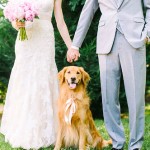 Pets Wedding Day
